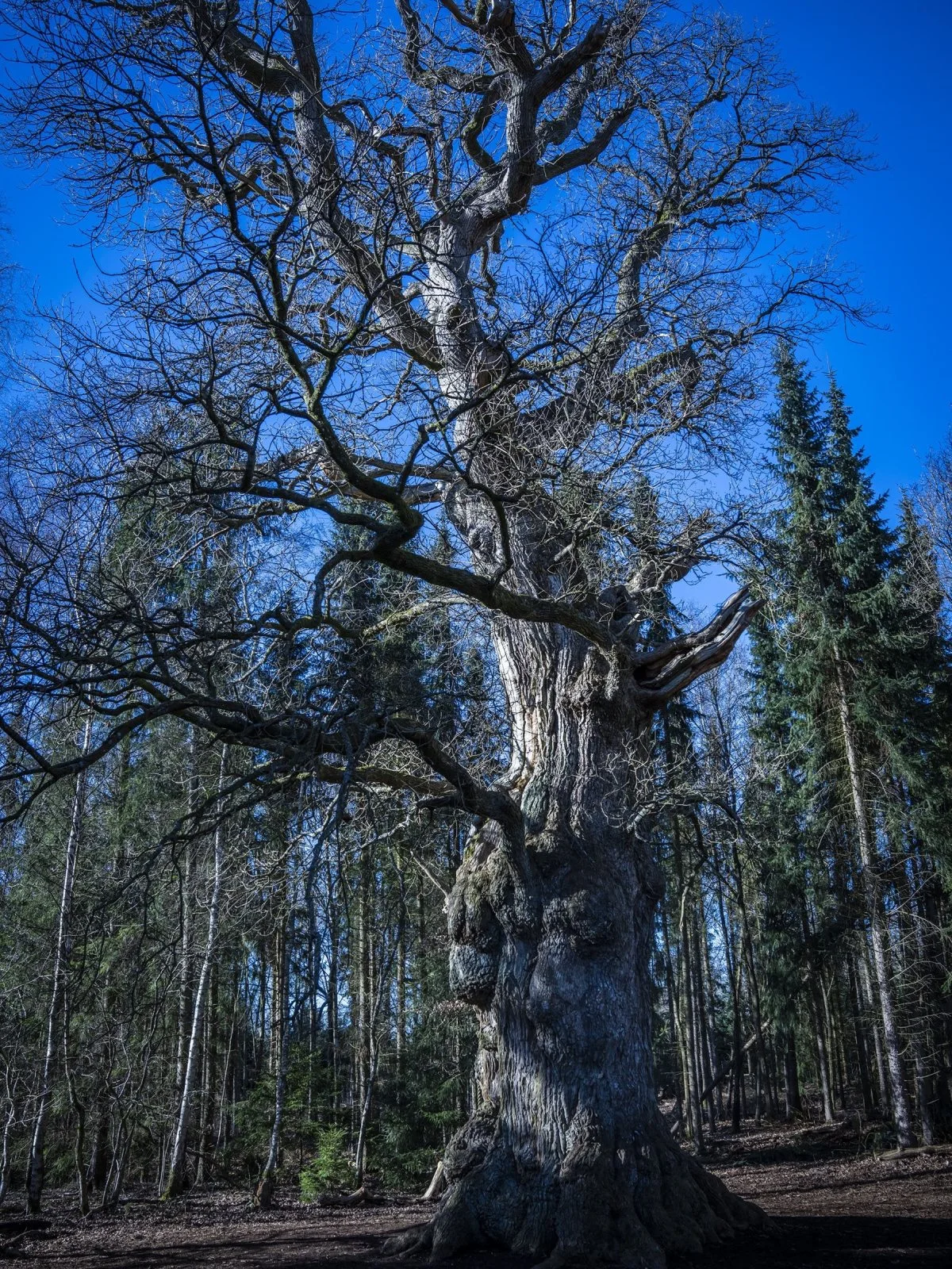 Foto: Per Arnesen/TV 2