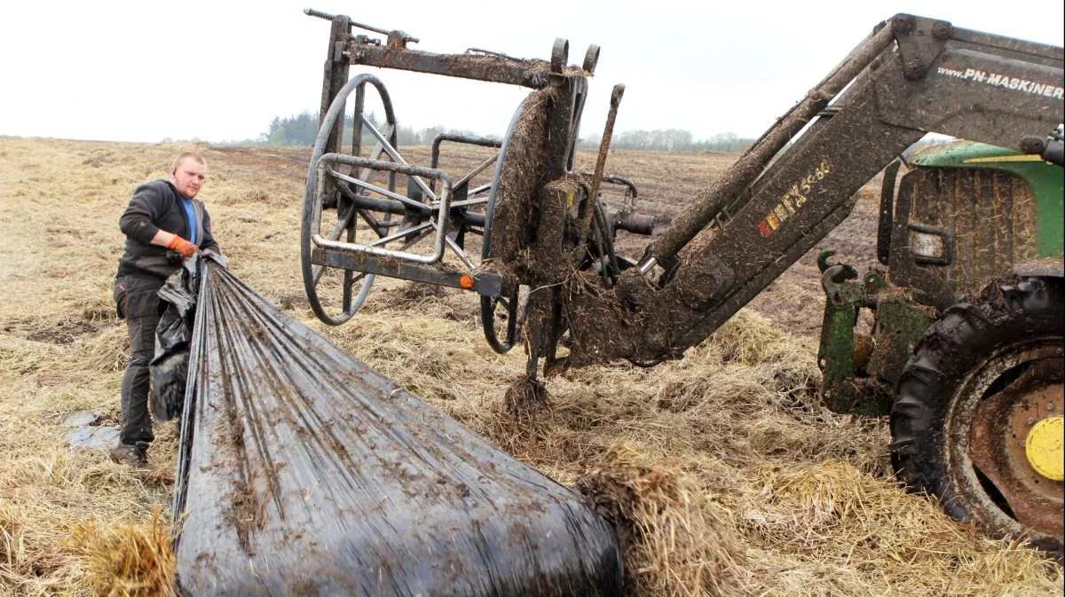 Der er blevet bøvlet mere i marken end på et sædvanligt efterår og tidlig vinter, men vandet har ikke formået at komme helt i vejen for gulerodshøsten hos Limfjords Danske Rodfrugter. Arkivfoto: Christian Carus