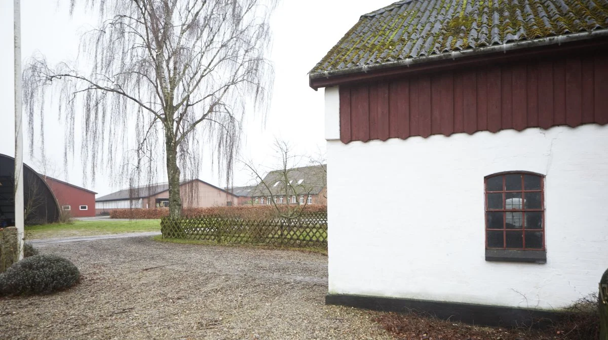 Naboejendommen med 41 hektar jordliggende, som overtages her 1. januar, ligger kun et stenkast fra Høstrig (i baggrunden).