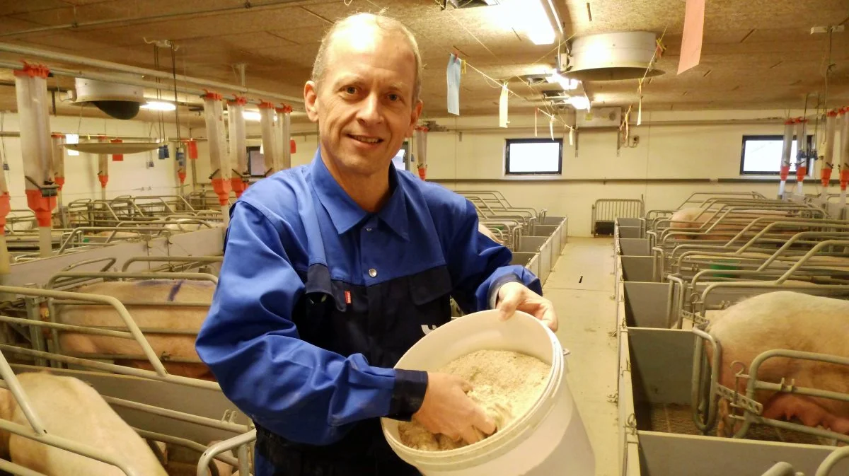 - Mange steder bør man overveje at foretage nogle investeringer, der vil gøre det muligt at håndtere tre forskellige polteblandinger i stedet for én, og desuden foretage foderskiftene på de rette tidspunkter, siger griserådgiver hos LandboNord, Peter Jakobsen. Foto: LandboNord