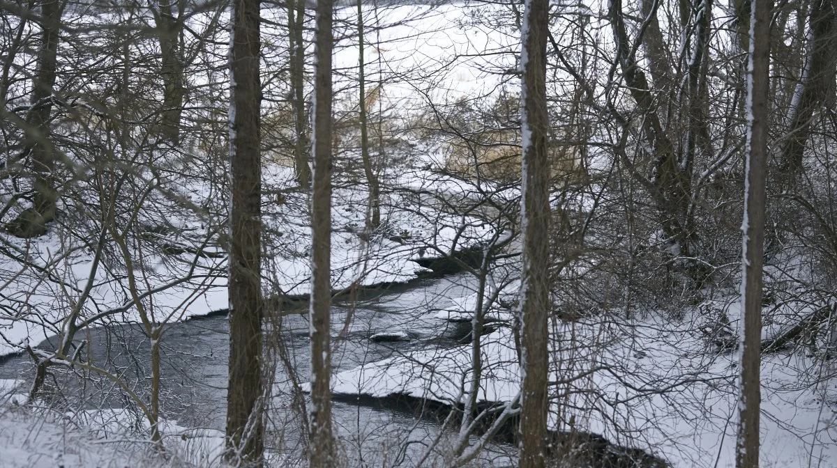 »Nuværende status er, at cirka 2 procent af det danske areal er »særligt beskyttet natur« og alene mellem 10 og 15 procent opfylder kriterierne for »beskyttet natur«. Der er meget lang vej til målsætningerne, og en samfundsmæssig medfinansiering er ikke »overkompensering«. Det er en ubetinget nødvendighed, og vel også fair, set i lyset af, at gevinsterne ikke er individuelle, men samfundsmæssige«, skriver Poul Erik Jørgensen.