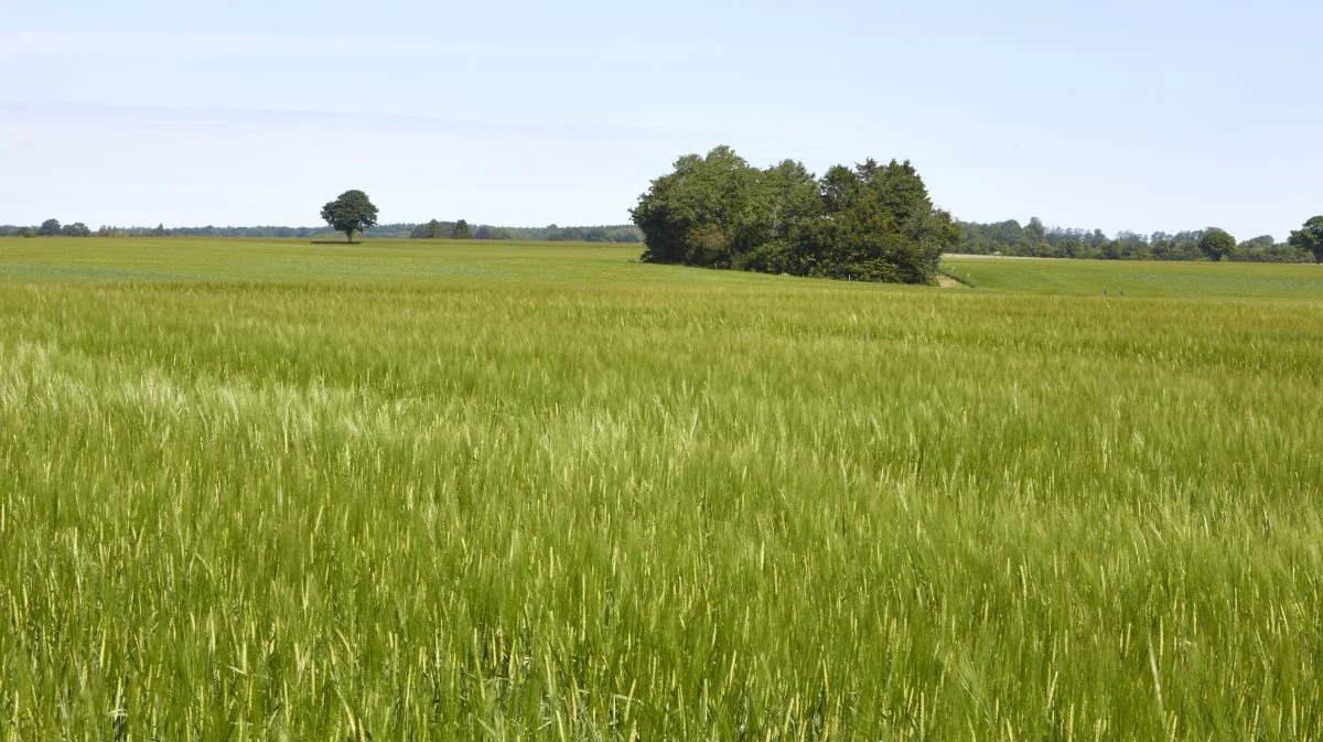 Bioordningerne kommer til at give højere takster i 2024. Foto: Erik Hansen.