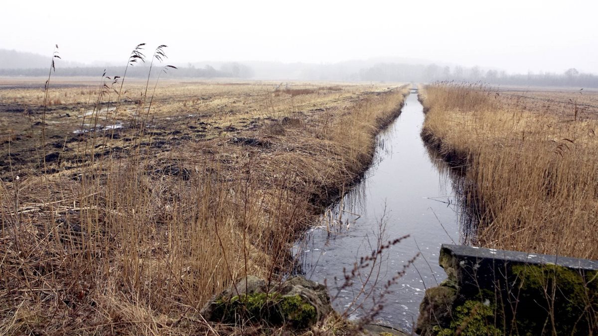 Natura 2000-områder 2019 – Hvad Gælder?