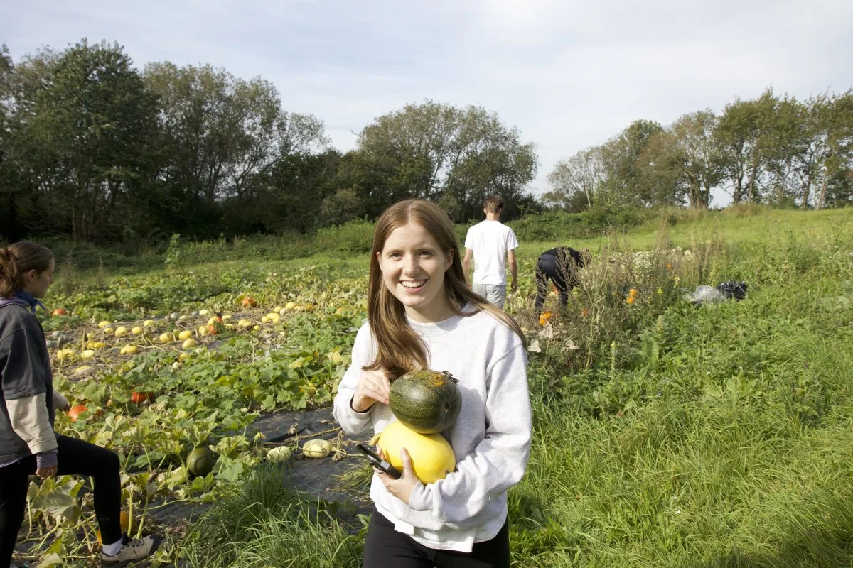 På Gerlev Idrætshøjskole har man netop fået bevilliget penge til at give elever og lokalsamfund et indblik i lokal og bæredygtig fødevareproduktion. Foto: Højskolerne