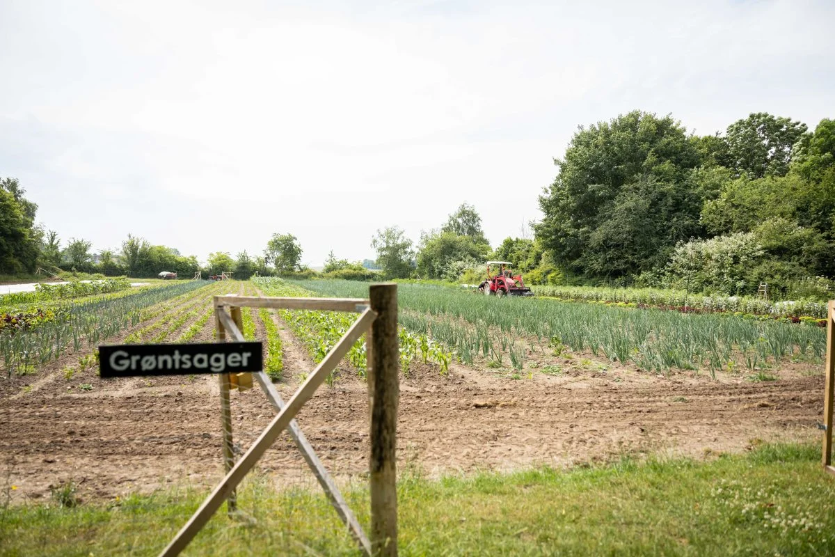Gerlev Idrætshøjskole har et mål om, at elever og kursister skal opleve fødevareproduktionen helt tæt på og forstå værdien af lokal produktion. Foto: Højskolerne/Lea Stride Petersen