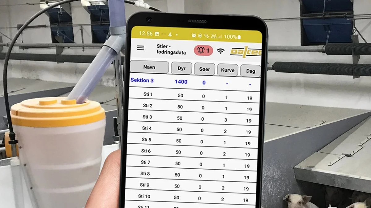 Med mobilen lige ved hånden, kan fodermesteren stå ved siden af den enkelte sti, vurdere grisenes trivsel og eventuelt justere fodertildelingen eller fodersammensætningen med det samme. Foto: Daltec