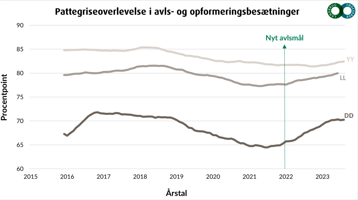 Grafen viser pattegriseoverlevelsen målt i DanBreds avls- og opformeringsbesætninger for Yorkshire, Landrace og Duroc. Efter, at den nye egenskab for pattegriseoverlevelse blev indført i avlsmålet sommeren 2022, ses en markant forbedring i alle tre racer. 