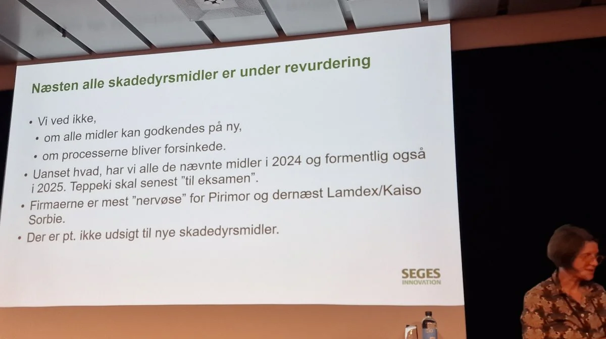 Der er ikke mange godkendte skadedyrsmidler tilbage i rapsen, og nu skal de sidste til revurdering. I følge Ghita Cordsen Nielsen er der heller ikke udsigt til nye skadedyrsmidler foreløbig.