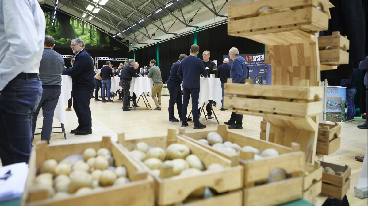 Der er lagt op til masser af faglig snak til Store Kartoffeldag 2024. Arkivfoto: Erik Hansen