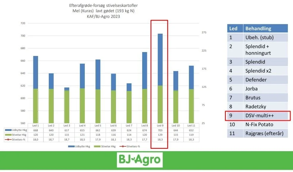 BJ-Agros forsøg med efterafgrøder før kartofler viser især gode resultater en blanding fra DSV med mange forskellige arter. Kilde: BJ-Agro