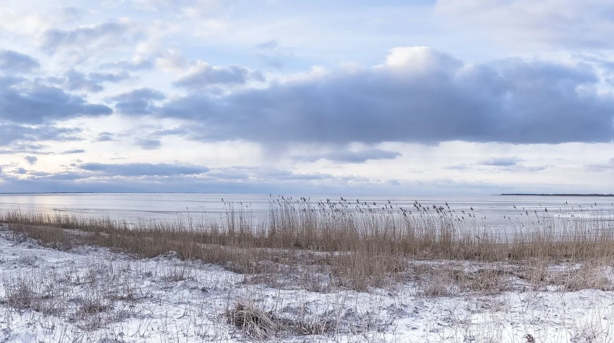 Et godt vandmiljø i Ringkøbing Fjord afhænger i høj grad af slusedriften ved Hvide Sande, konkluderer Kystvandrådet for Ringkøbing Fjord i sin anbefaling til Miljøstyrelsen. Foto: Niels Finnerup, Fotogruppen MidtVest