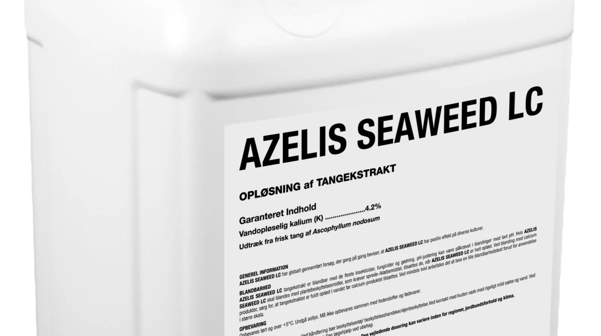 På det seneste er der kommet en biostimulant til i form af Azelis Seaweed. Som navnet antyder, indeholder det ekstrakt fra havtang fra det kolde nordlige Atlanten. Fotos: Azelis