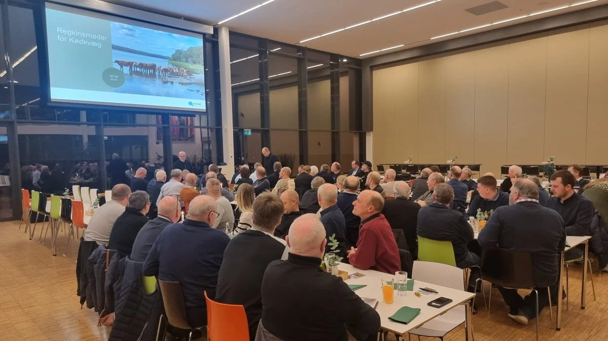 Det sidste regionsmøde for kødkvæg i denne omgang fandt sted hos VKST i Sorø. Fotos: Anders Lei