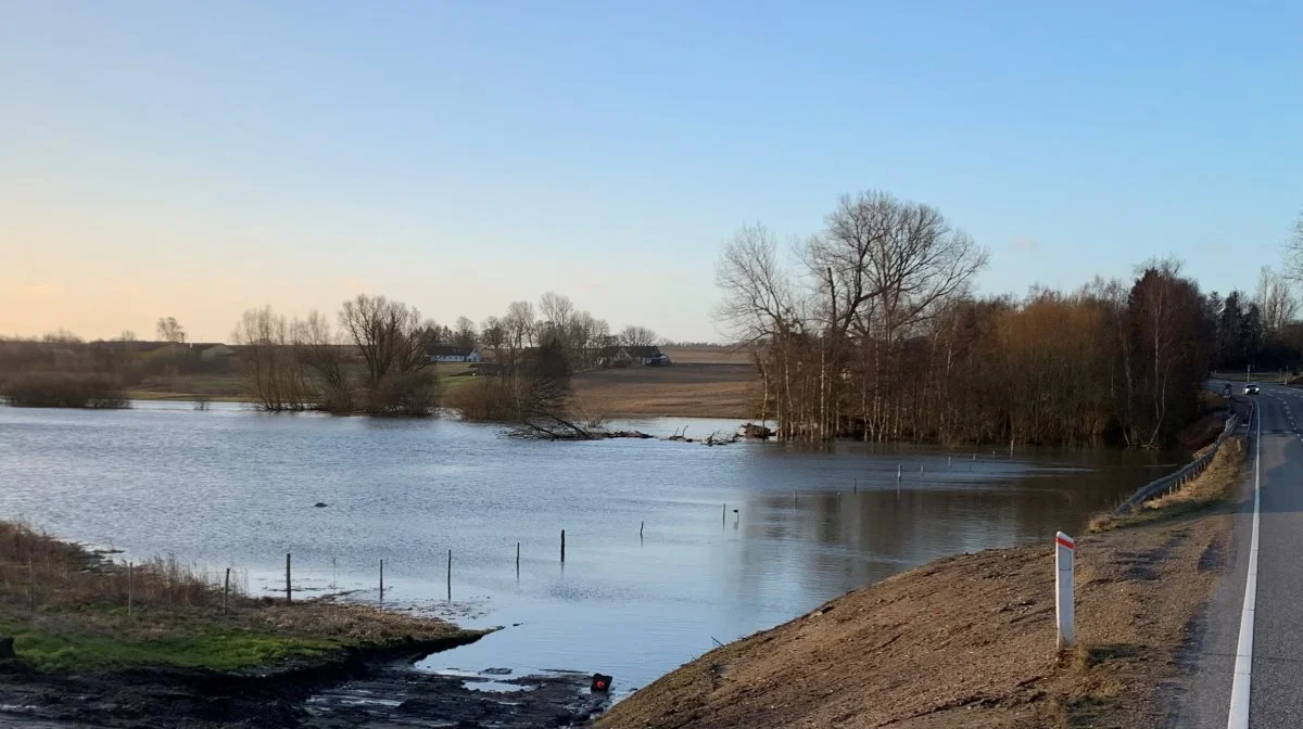 Susåen er for længst gået over sine bredder - her i Vetterslev nær Ringsted. Foto: Jesper Hallgren