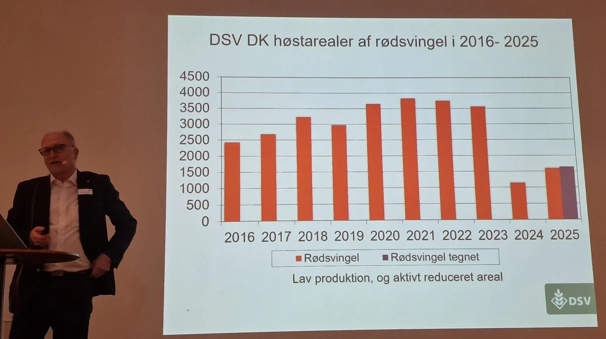 - Tager vi for eksempel rødsvingel, så måtte vi desværre ompløje stort set alle andenårsmarker til høst i 2024. Det er vi jo kede af, men det er eneste udvej til at få lagrene ned igen. Det går lidt op igen i 2025, vurderer Carsten Jørgensen.