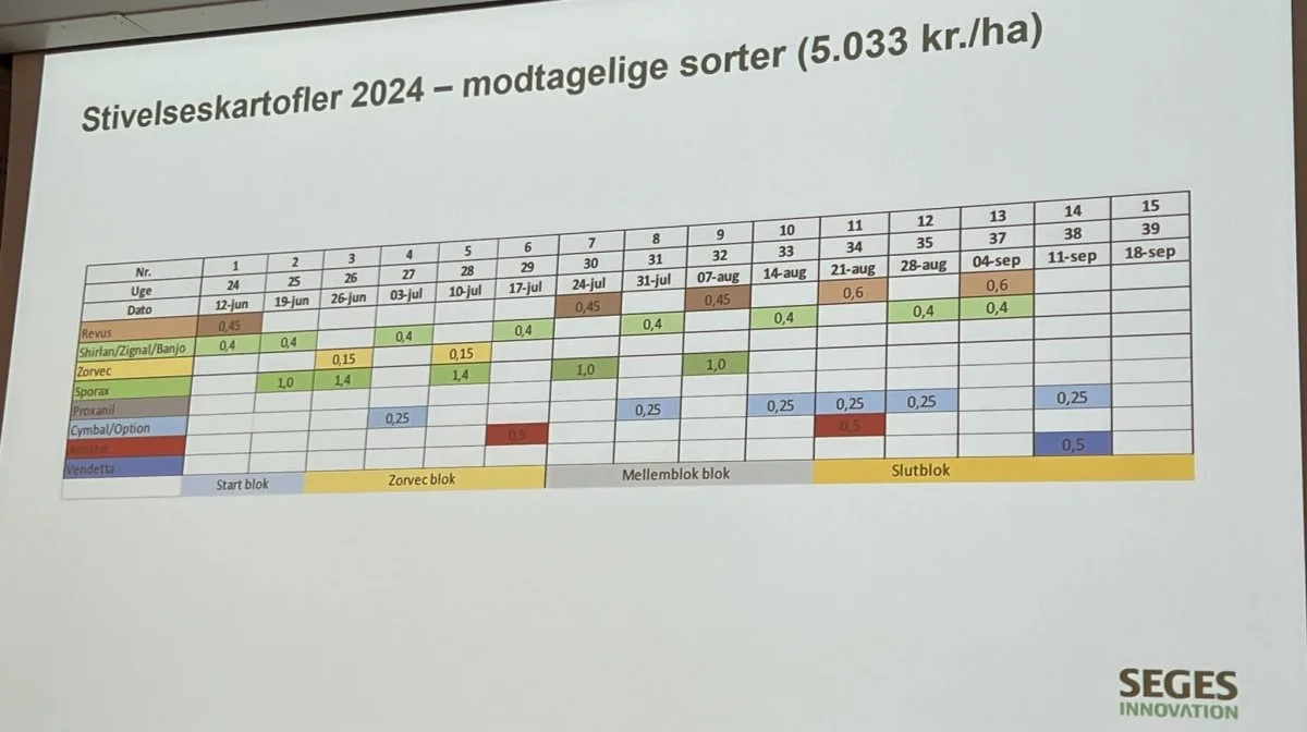 Prisen for at undgå skimmel i modtagelige sorter som eksempelvis Kuras i det kommende år, forventes at lande omkring 5.000 kroner pr. hektar. Foto: Kasper Stougård