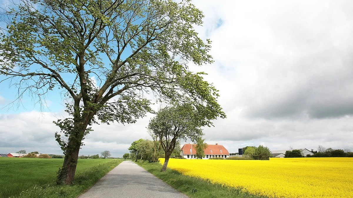 Skyerne trækker sig sammen over landbruget på grund af stigende renter. Pressefoto