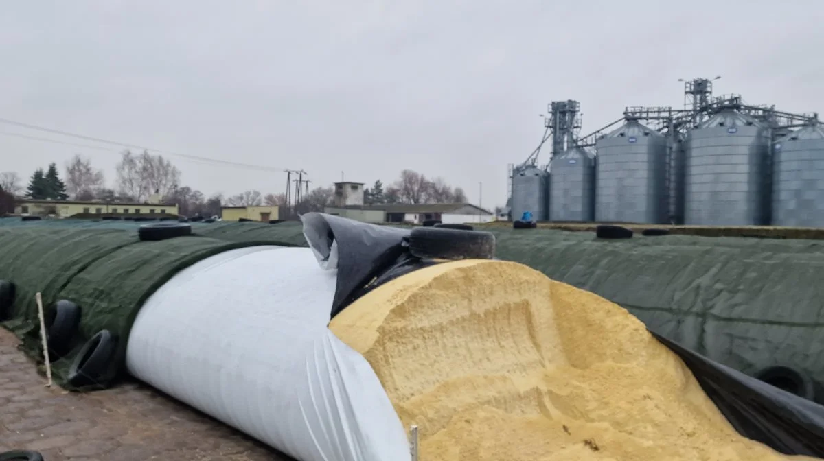 Warszawa Universitets forsøgsgård har hidtil ikke beskæftiget sig med biogas og energiproduktion, men nu satser man stort sammen med danske GreenFarm.