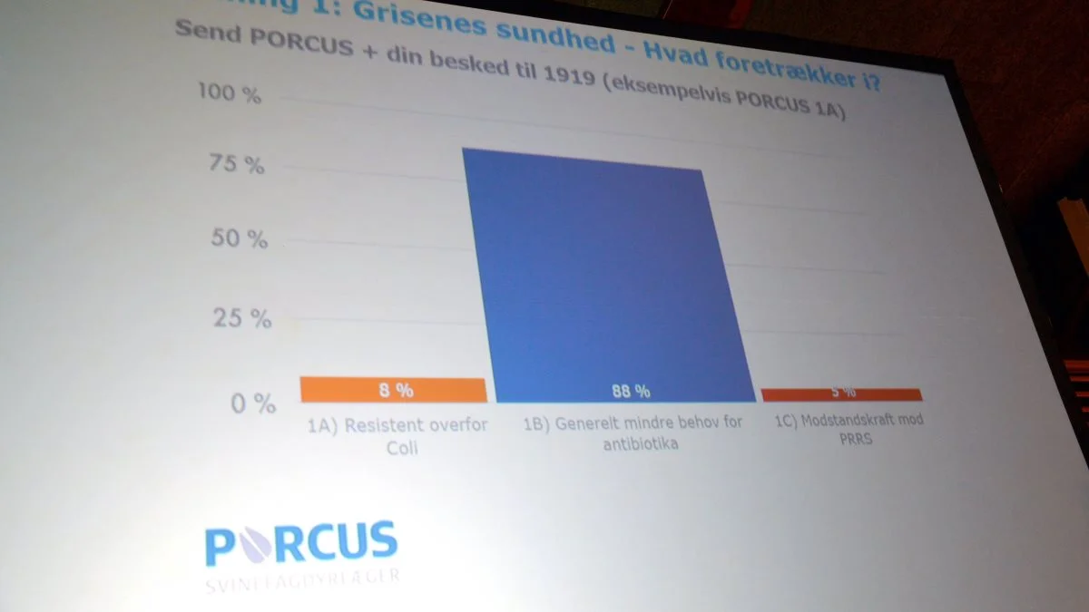 Afstemning 1: Grisenes sundhed – Hvad foretrækker I? 
1A) Resistent overfor coli 8 %
1B) Generelt mindre behov for antibiotika 88 %
1C) Modstandskraft mod PRRS 2 %