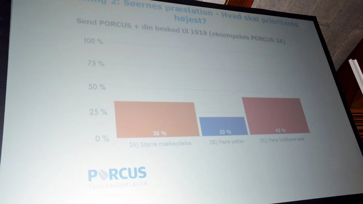 Afstemning 2: Søernes præstation – Hvad skal prioriteres højest?
2A) Større mælkeydelse 36 %
2B) Flere patter 20 %
2C) Mere holdbare søer 43 %
