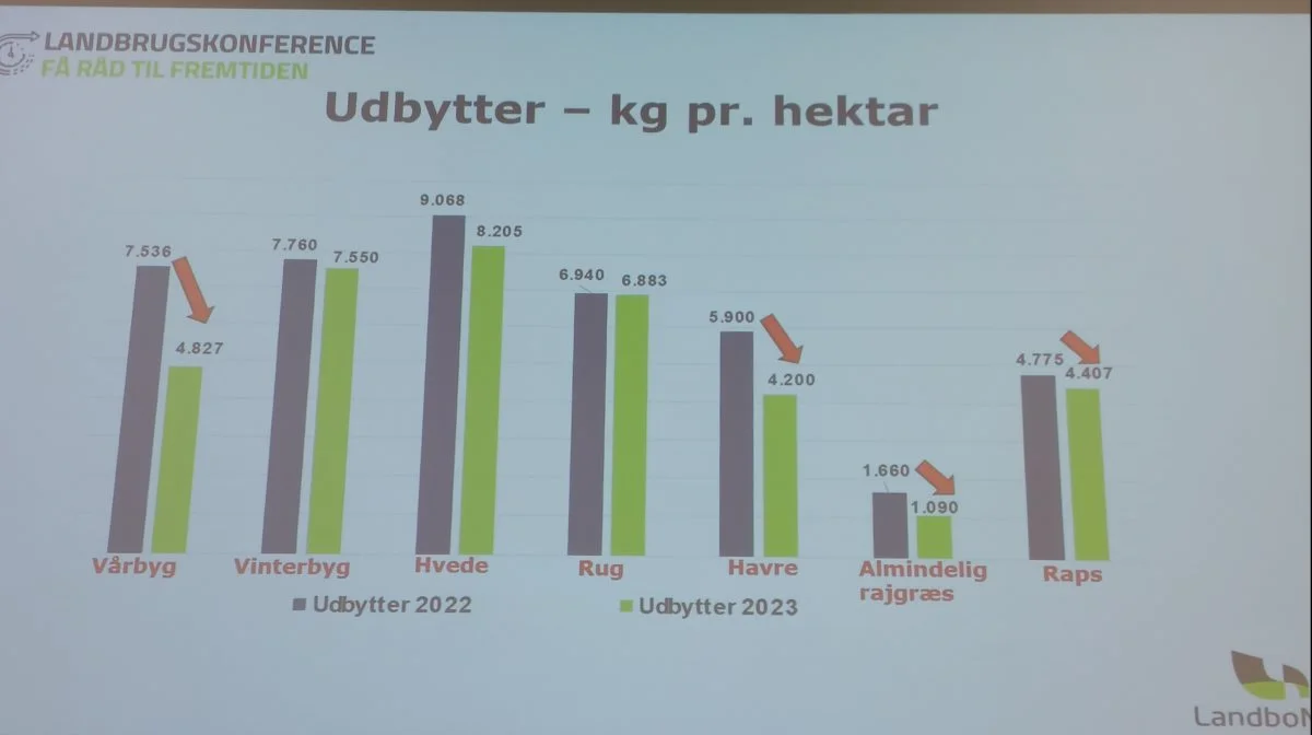 Især udbyttet af vårbyg tog en gevaldig rutsjetur i 2023.