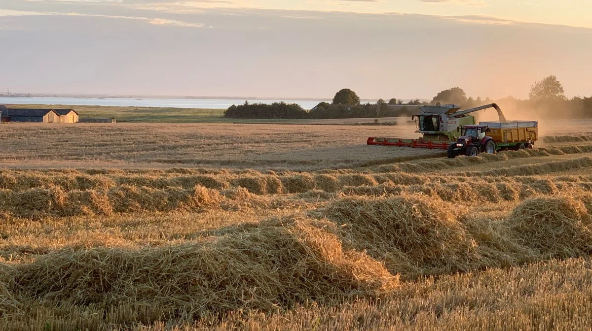 Producerer landbruget for eksempel noget halm eller raps, indregnes dette ikke, men bruges det til biogas, biodiesel eller på et kraftværk, viser CO2-regnskabet for kraftværket en mindre emission af fossilt CO2, lyder det fra Anker Jacobsen. Arkivfoto