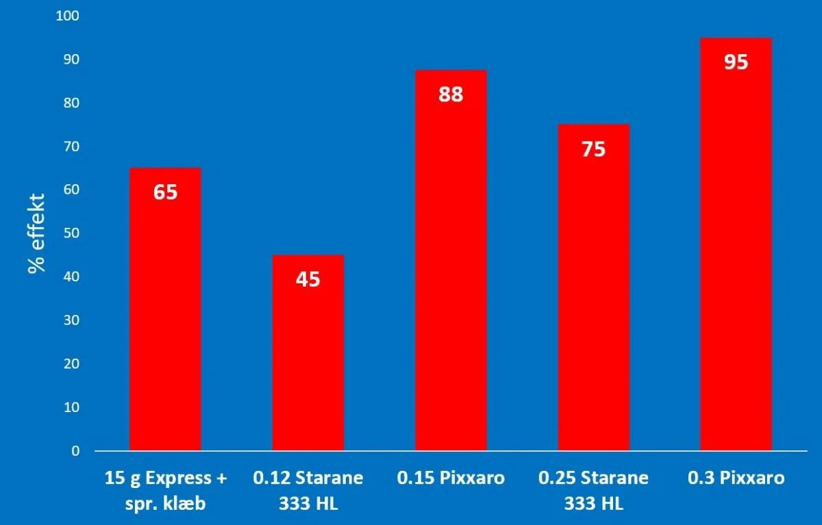 Forsøgsresultater fra en mark med både resistent og ikke-resistent fuglegræs. 0,15 liter Pixxaro indeholder samme mængde af aktivstoffet fra Starane, som 0,12 liter Starane 333 HL. Det samme gælder for henholdvis 0,3 liter Pixxaro og 0,25 liter Starene 333 HL. I begge tilfælde er virkningen af Pixxaro dog afgjort bedre. Kilde: Corteva