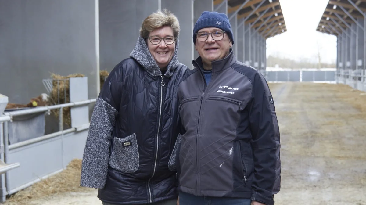 Laila og Anders Peter Jensen viser deres nye starterstald til slagtekalve frem. Det sker fredag den 1. marts. Fotos: Tenna Bang