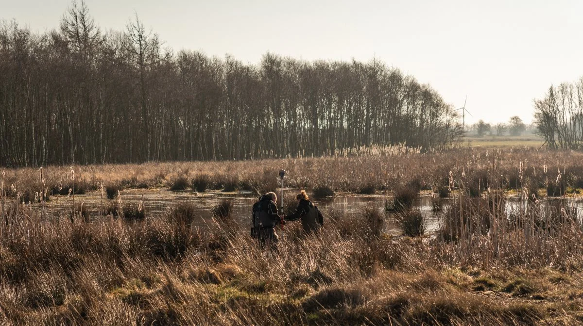 Der er gjort en pæn indsats på klimaområdet i Varde Kommune de senere år. Billedet her er fra 2023 og viser Kvong Mose, der nu er gjort til et vådområde. Arkivfoto: John Ankersen