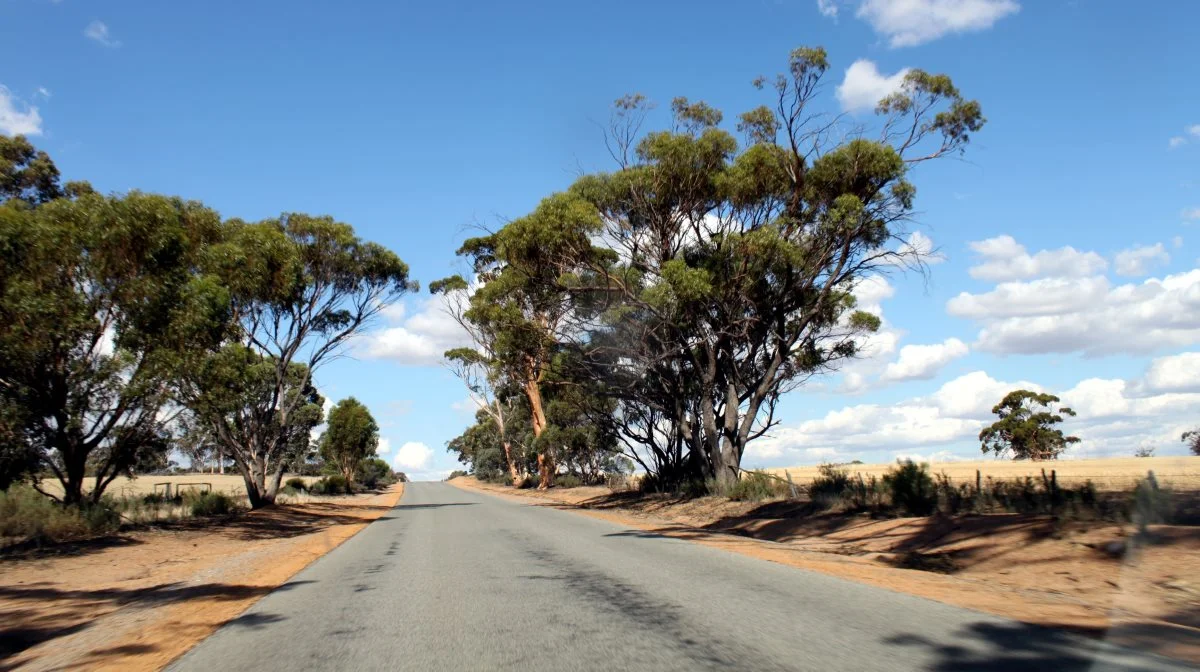 Her i weekenden nærmer termometret sig 50 grader i området øst for Perth i det vestlige Australien, hvor Effektivt Landbrugs udsendte er på vej i bil ud at besøge fire danske landmænd.