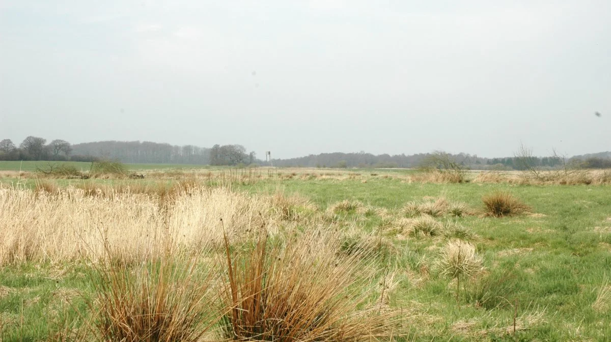 Hvorfor tager det så lang tid at tage lavbundsjorde ud af drift? Det kan man blive klogere på tirsdag.