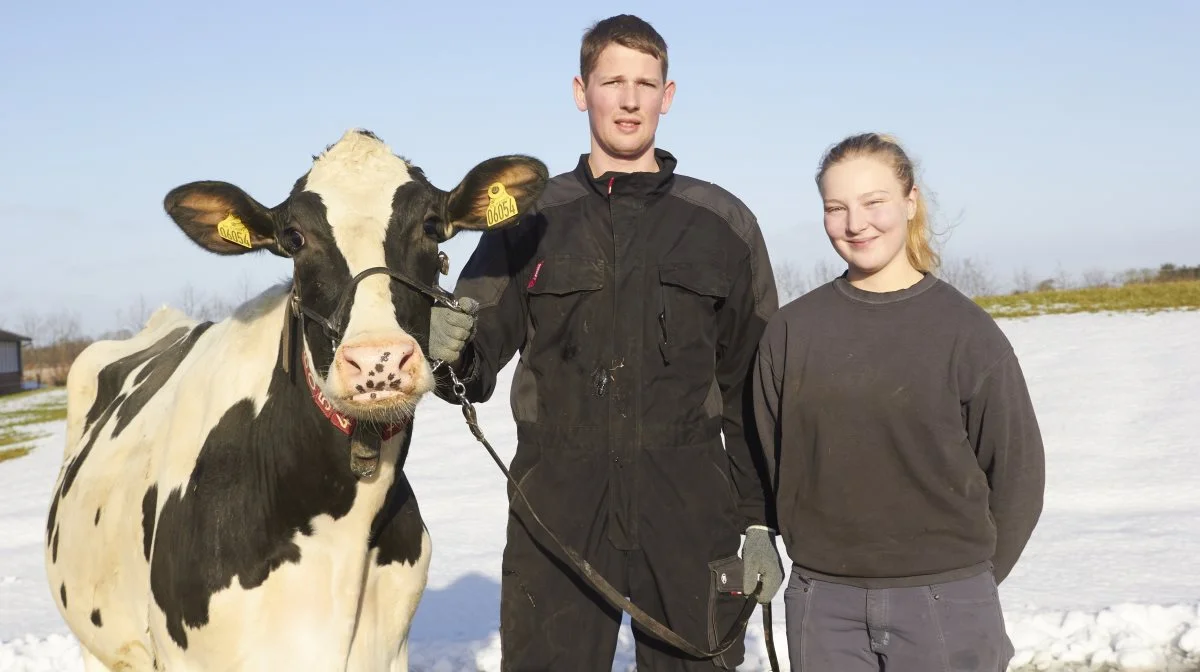 Mens Amalie er på skole, gør Line og Simon klar til deres fælles deltagelse på Agro Nord. Fotos: Tenna Bang