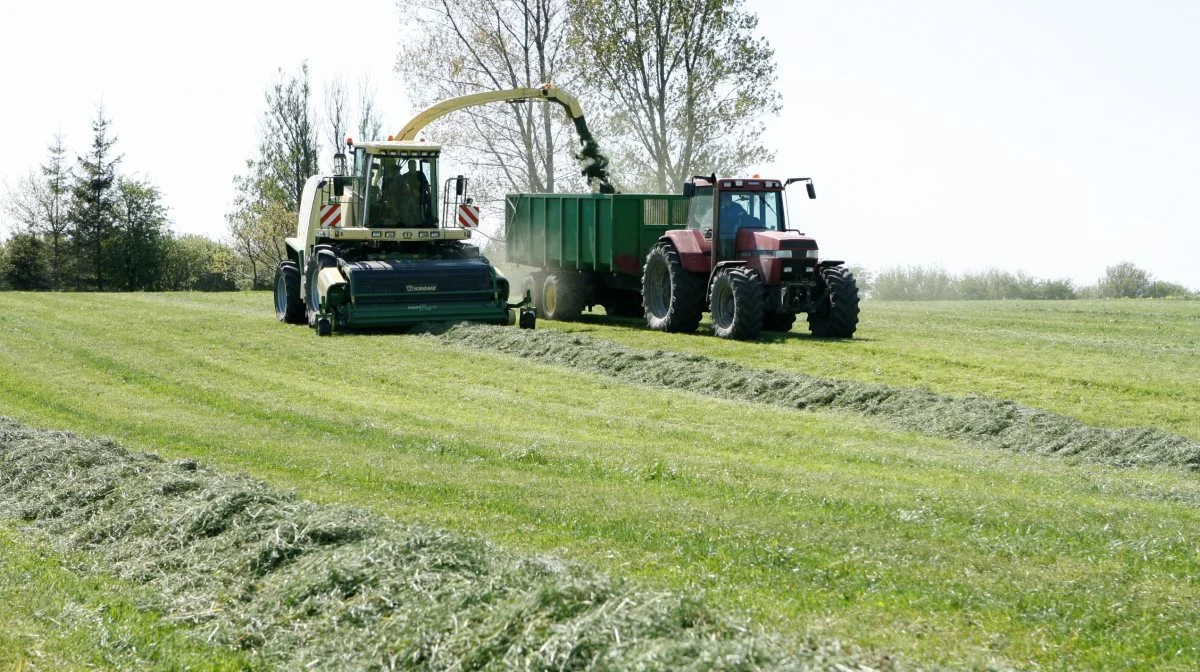 Det, der omsættes mest af, er græs til ensilering. Forudsætningerne er forskellige fra bedrift til bedrift, og derfor findes der ikke én pris på afgrøden. Arkivfoto