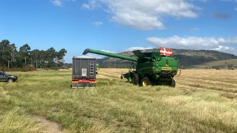 En stor del af den australske frøavl finder sted på øen Tasmanien, der ligger 10 timers færgesejlads syd for Melbourne. Effektivt Landbrug besøger her landmænd med danske rødder - som man gerne viser, man er stolt af.