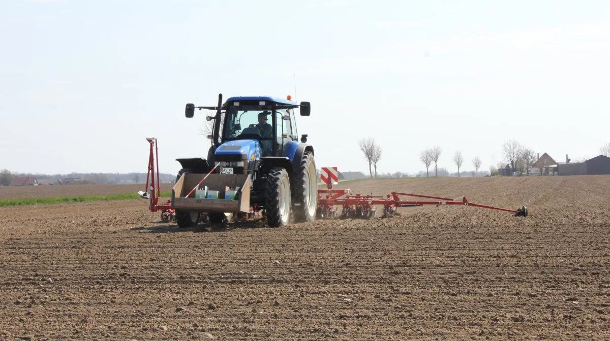 Roedyrkerne gør senere på sæsonen klogt i at holde ekstra øje med angreb af skadedyr – især ferskenbladlus – i roemarkerne. Foto: DLF Beet Seed 