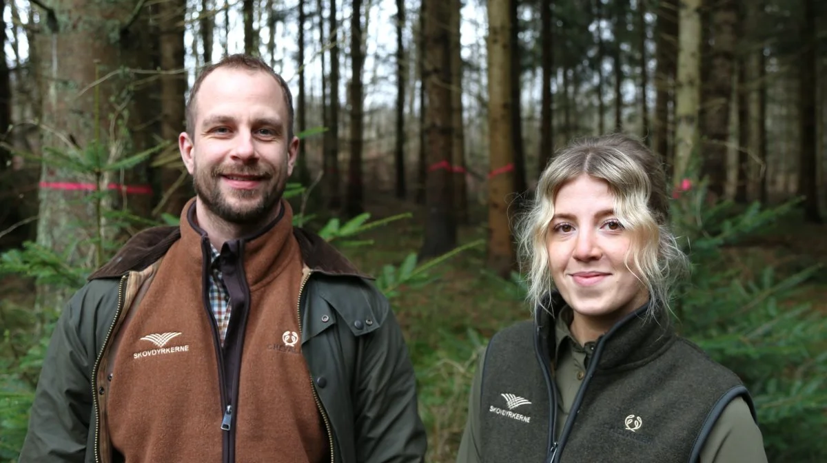 - Vores mål er at øge biodiversiteten samtidigt med, at produktionen af kvalitetstræ opretholdes, fortæller Bjørn Krüger Veng, der sammen med Frederikke Kongslev fra Skovdyrkerne Øerne står for driften af Vesterskoven ved Ringsted. Foto: Niels Okking
