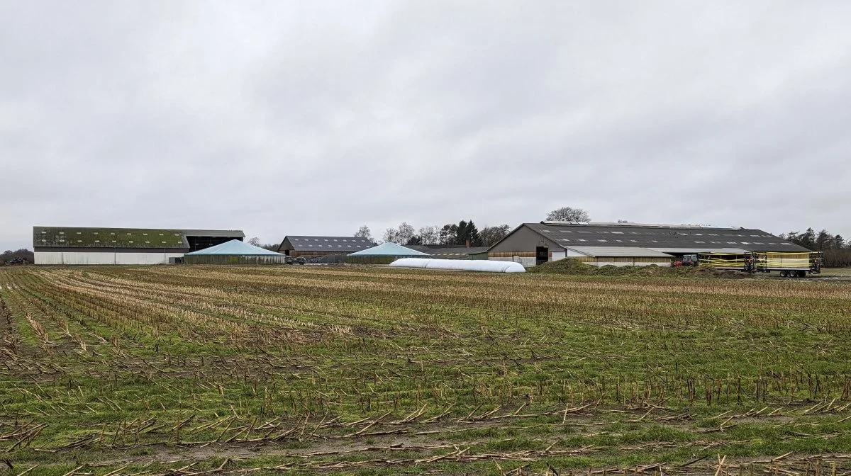 Til nytår sidste år overtog de tidligere minkavlere Ruegård med den senest opførte stald fra 2003 til højre. Bag stalden er blandt andet blev installeret to nye fodersiloer.