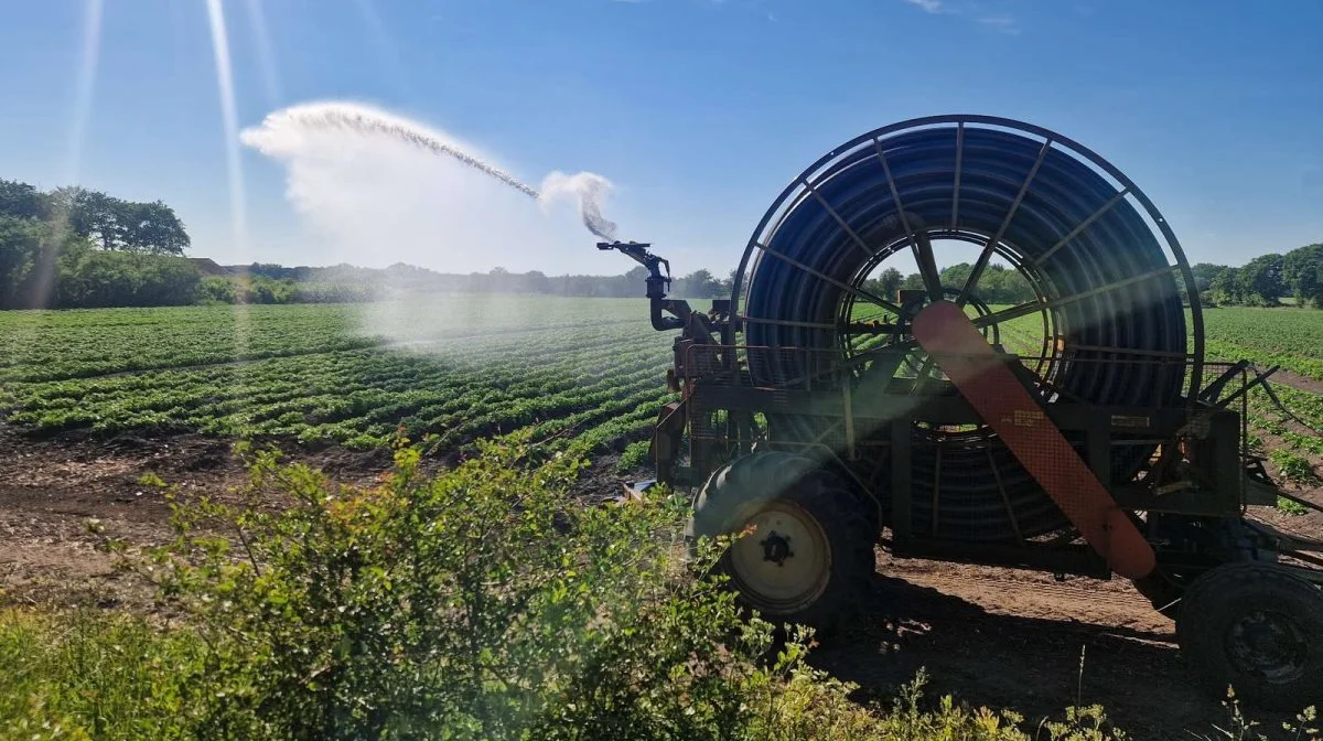 2023 bød på en sommer med høje temperaturer og flere ugers tørke – det gav behov for markvanding og makrvandingstilladelser. Arkivfoto: Henning K. Andersen