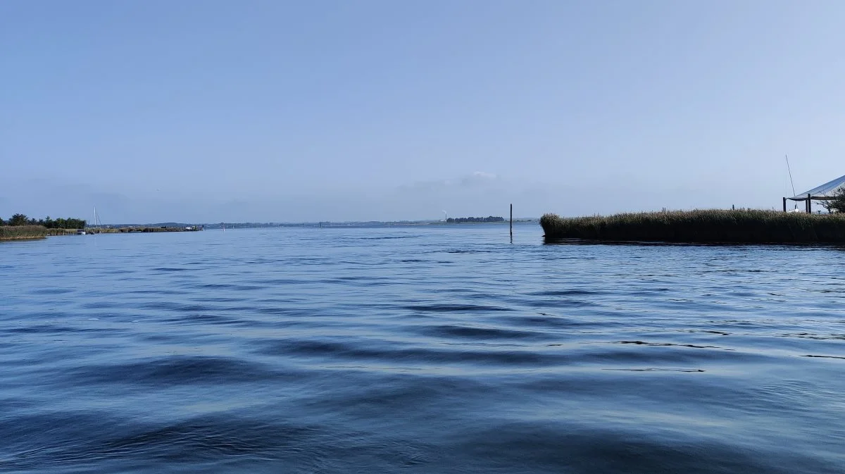 Der er en statistisk signifikant nedadgående trend i kvælstoftilførslen til havet fra 2002 og frem, viser beregninger, Effektivt Landbrug har foretaget. Arkivfoto