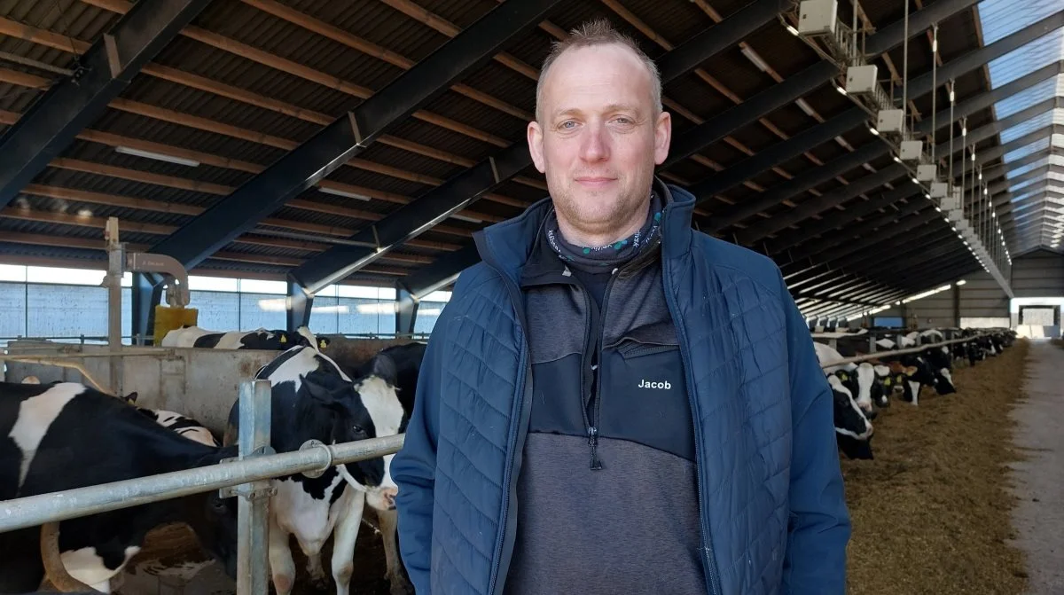 Jacob Spangsberg, formand for landboforeningen Vestjysk. Foto: Vestjysk