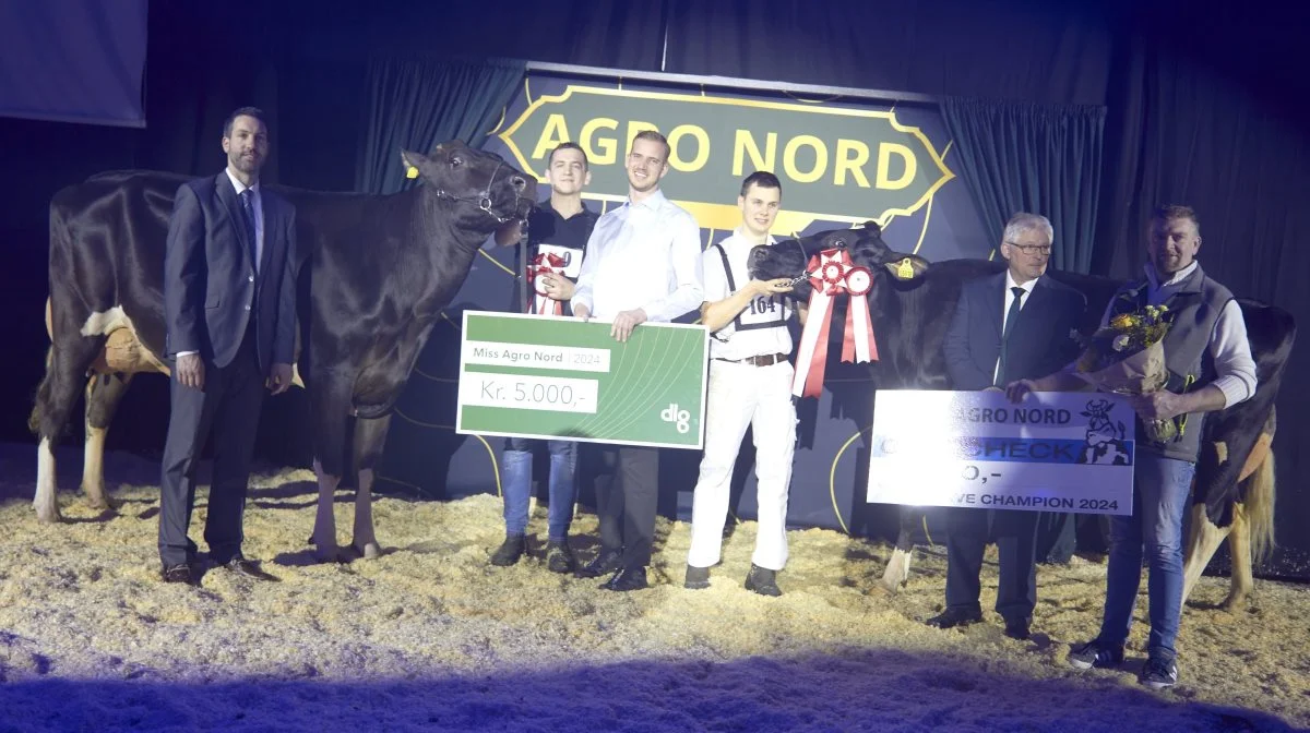 Det blev 2. kalvs Belland-datteren fra Per Warming (tv.), Aars, som strøg til tops som Miss Agro Nord, mens Christian Bøgh måtte se sig slået efter en forrygende dag. Fotos: Tenna Bang