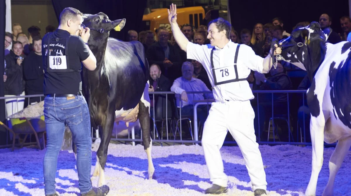 Der var high five fra årets reserve champion, til vinderen Miss Agro Nord, som blev trukket af Marcus Warming.