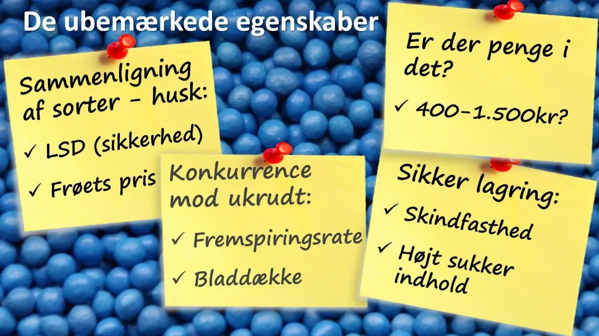 Sukkerroedyrkerne blev blandt andet mindet om de egenskaber, der let kan blive overset i de detaljerede sortsoversigter, der præsenteres.