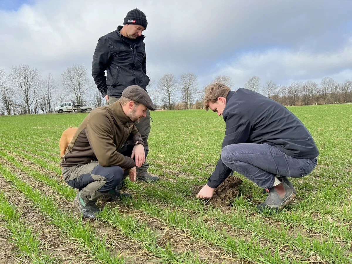 Peter Friderichsen, Martin Thage og planteavlsrådgiver David Dresen fra Agrovi i hvedemarken, hvor der er sået en sortsblanding til brødhvede. Formålet er at få en sundere afgrøde, som har mindre behov for input af gødning og planteværnsmidler. 