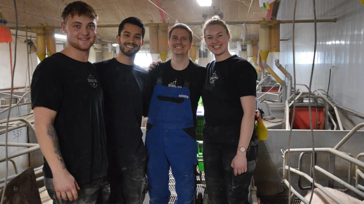 En del af det gode team i farestalden - fra højre Connie, Johannes, Bruno og Bastian er klar på et fællesfoto. Fotos: Camilla Bønløkke