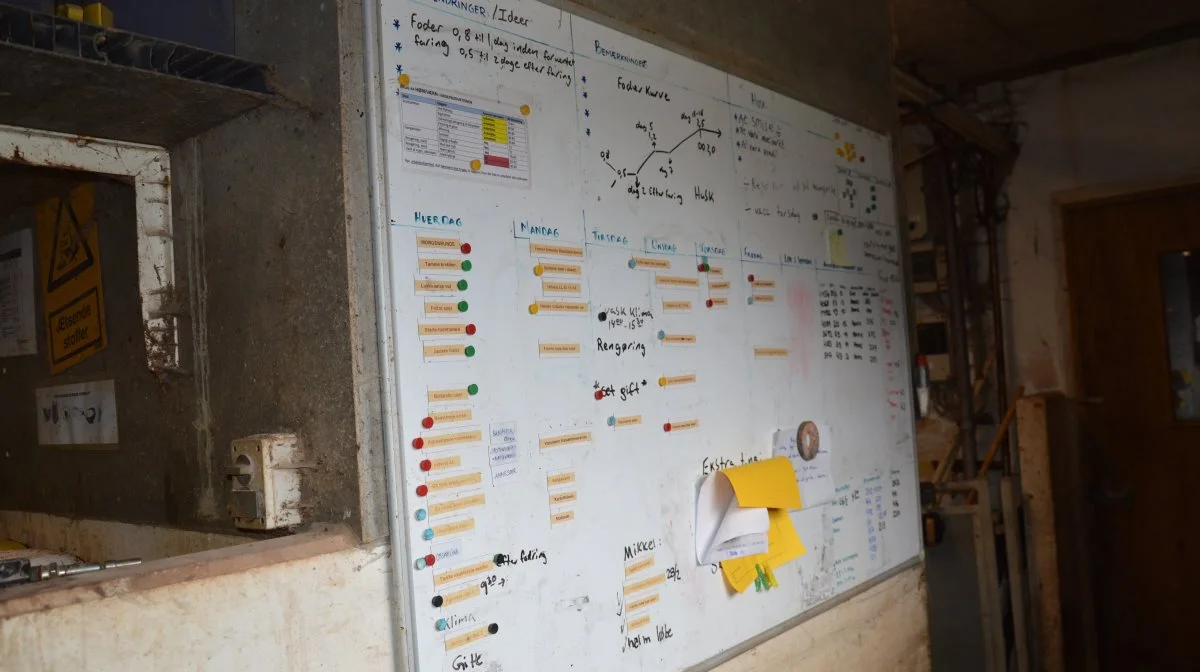 I mellemgangen ind til farestalden hænger en større whiteboard-tavle, som anvendes til at holde styr på de ugentlige og daglige opgaver.