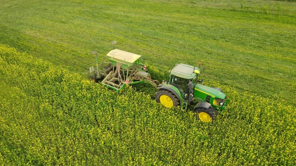 Biodiversitet skal også være noget, der findes på dyrkningsfladen, lyder det fra Agroganic. Arkivfoto