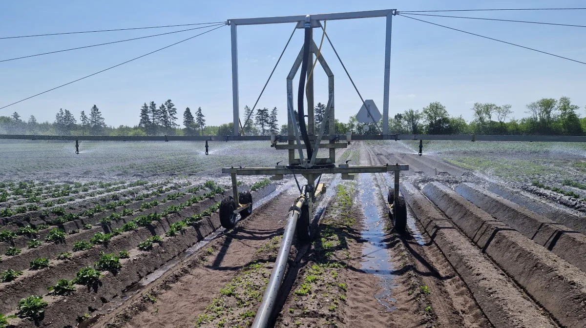 Det tager lidt længere tid at flytte bomvanderen end en almindelig kanon. Vil man gerne have bomvanderens effektivitet med et lavt tidsforbrug, kan pivotvanderen istedet være svaret. Foto: WekoAgro