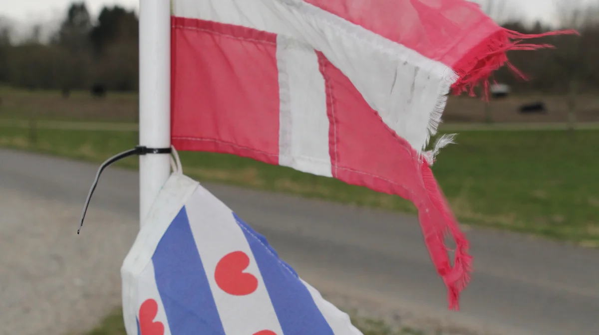 Det danske og det frisiske flag byder velkommen ved indkørslen til ejendommen Lundsgaard. 