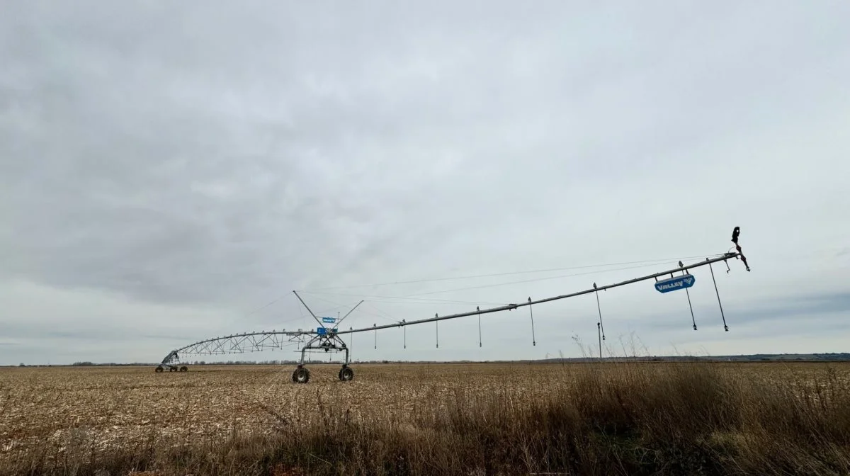 Det lave tryk, pivotvanderen arbejder med, giver lavt energiforbrug og høj præcision. Når man ser på hektarprisen, er løsningen ikke dyrere end indtrækningsmaskiner. 